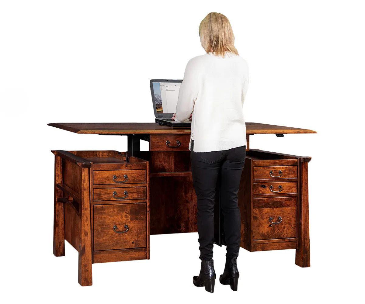 Artesa Sit to Stand Curved Top Desk 1 Artesa Sit to Stand Curved Top Desk